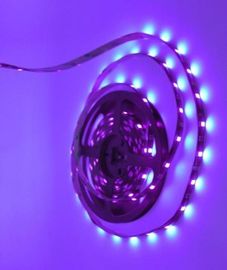 مرونة تعقيم الإضاءة LED قطاع الخفيفة أطقم مصلحة الارصاد الجوية 5050 الأرجواني 24 W محول